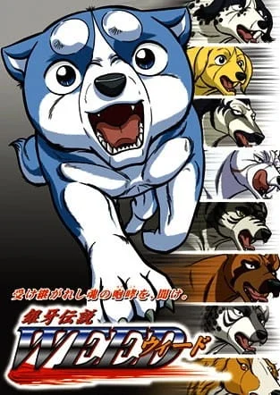 Легенда о Серебряном Клыке Уиде 2 сезон